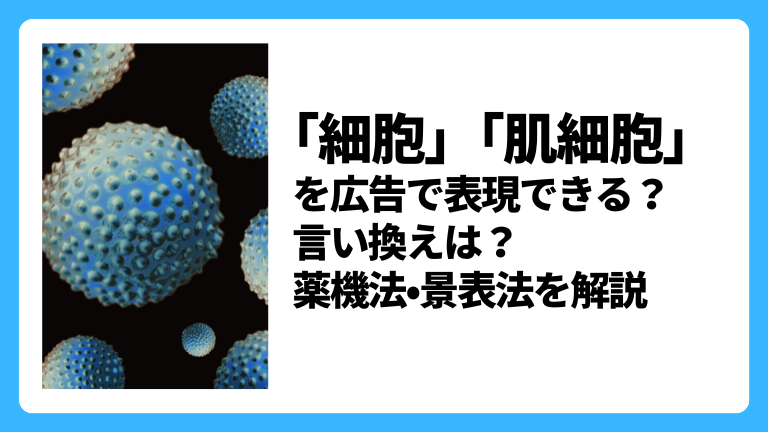 細胞 肌細胞 を広告で表現できる 言い換えは 薬機法 景表法を解説